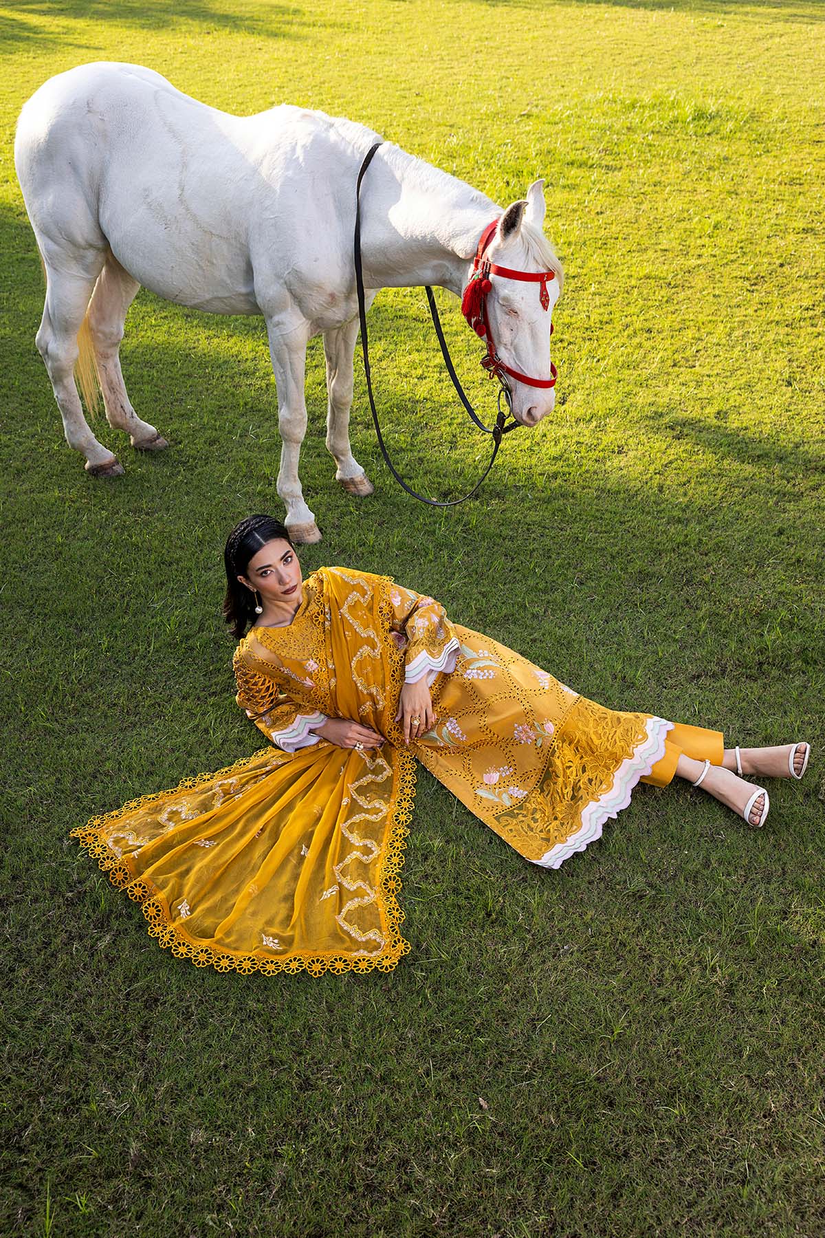 Raeesa Premium | Buttercup | SR-001