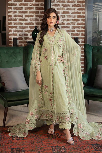 Raeesa Premium | Ezel | HS - 32