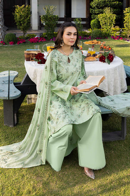 Noor E Fajar | Urwa | NF - 1428