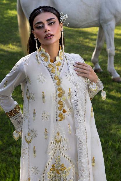 Raeesa Premium | Fuchsia | SR-002