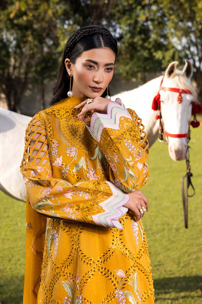 Raeesa Premium | Buttercup | SR-001