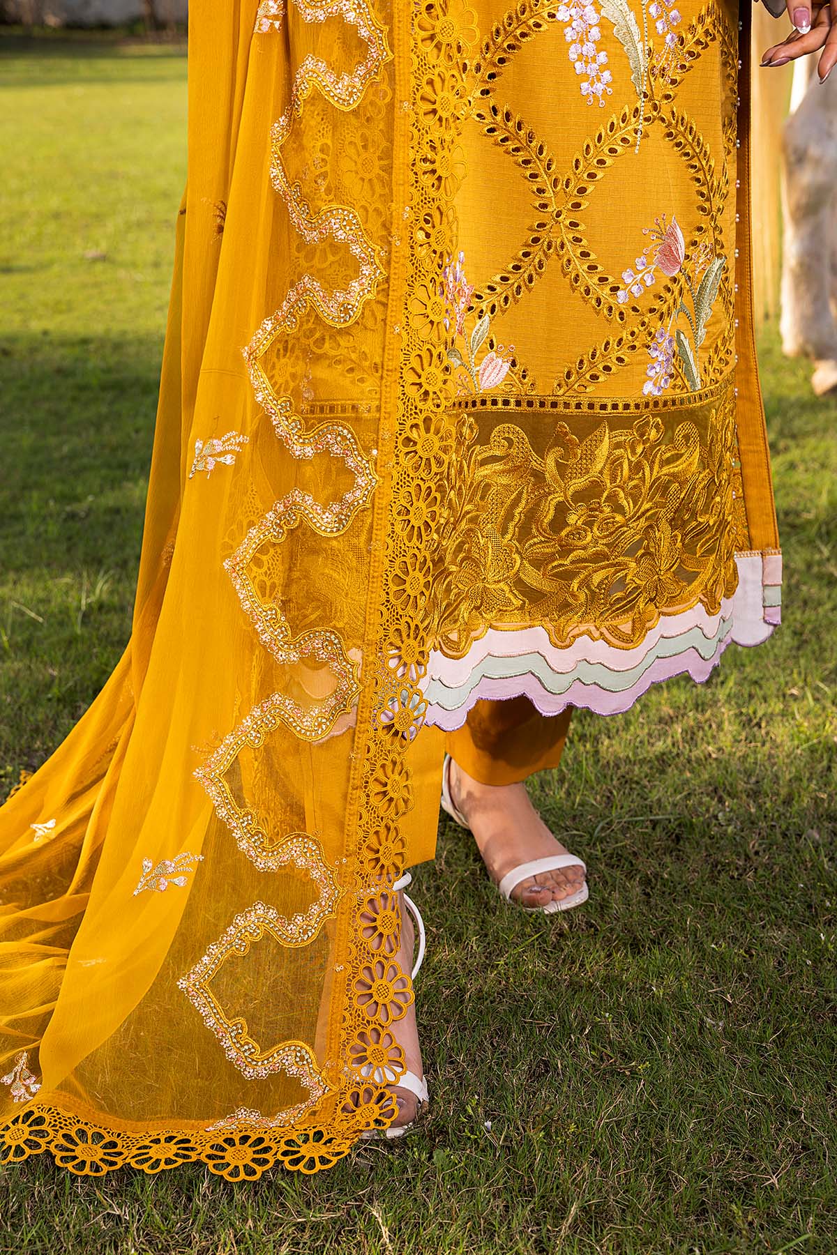 Raeesa Premium | Buttercup | SR-001