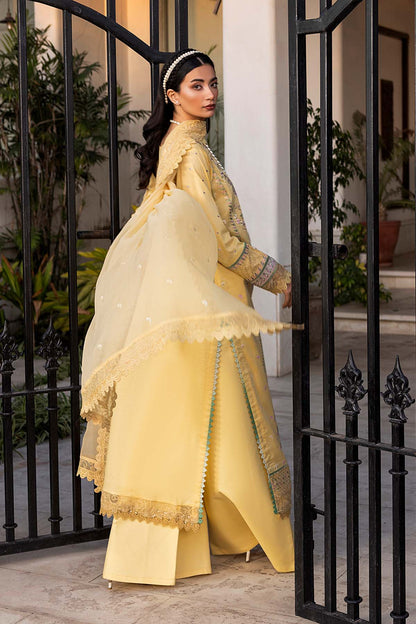 Raeesa Premium | Sonrisa Serena | SR-007