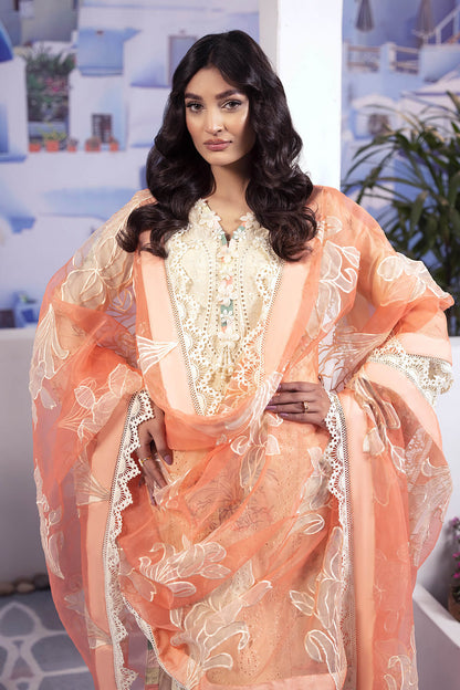 Raeesa Premium | Dahlia | DD-03